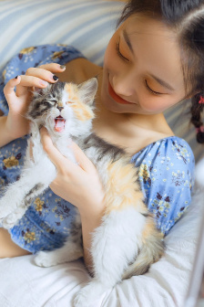 恶魔高校